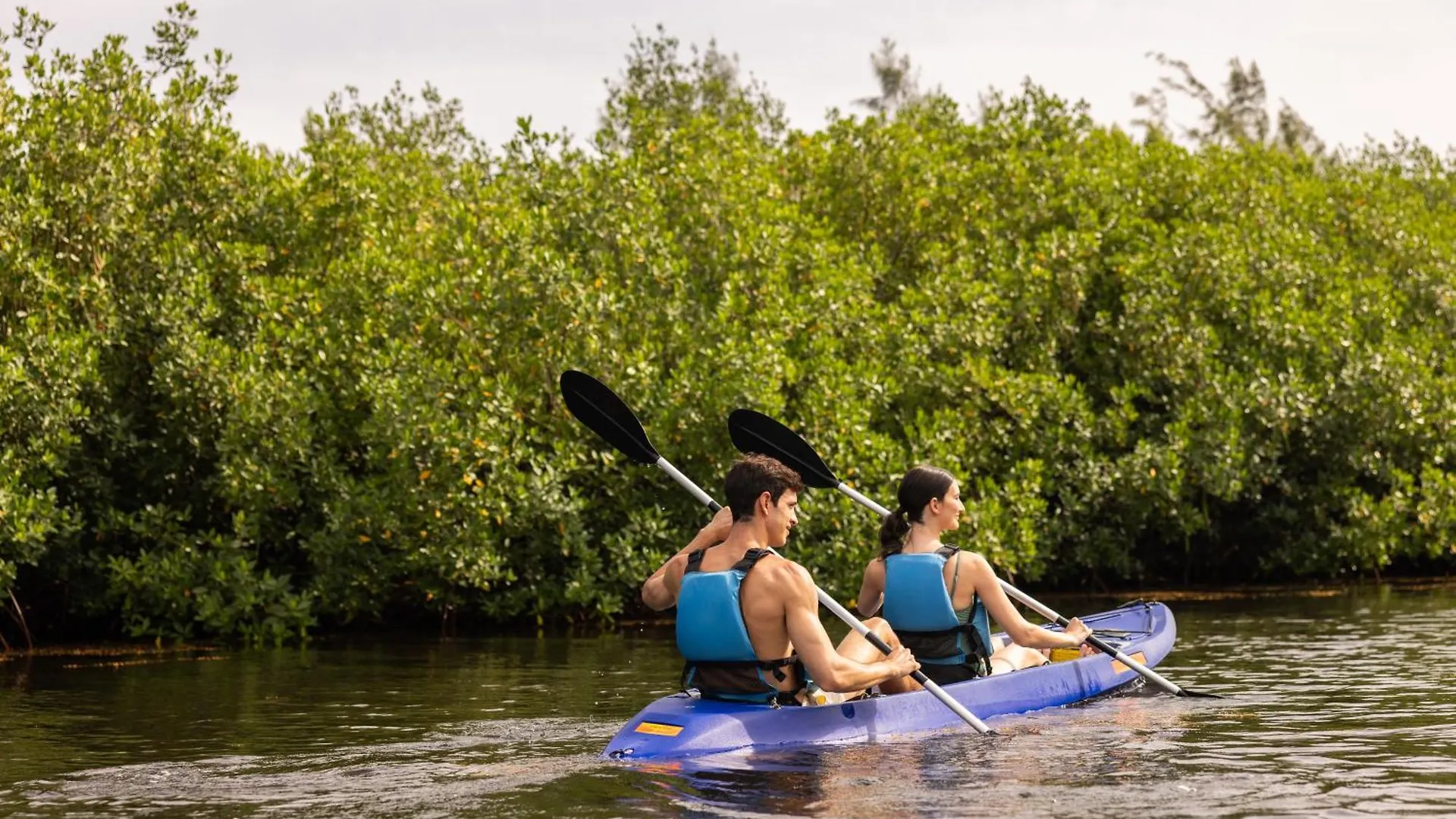 ***** Resort The Ritz-Carlton, Grand Cayman Hotel Dog City Kaaiman-eilanden