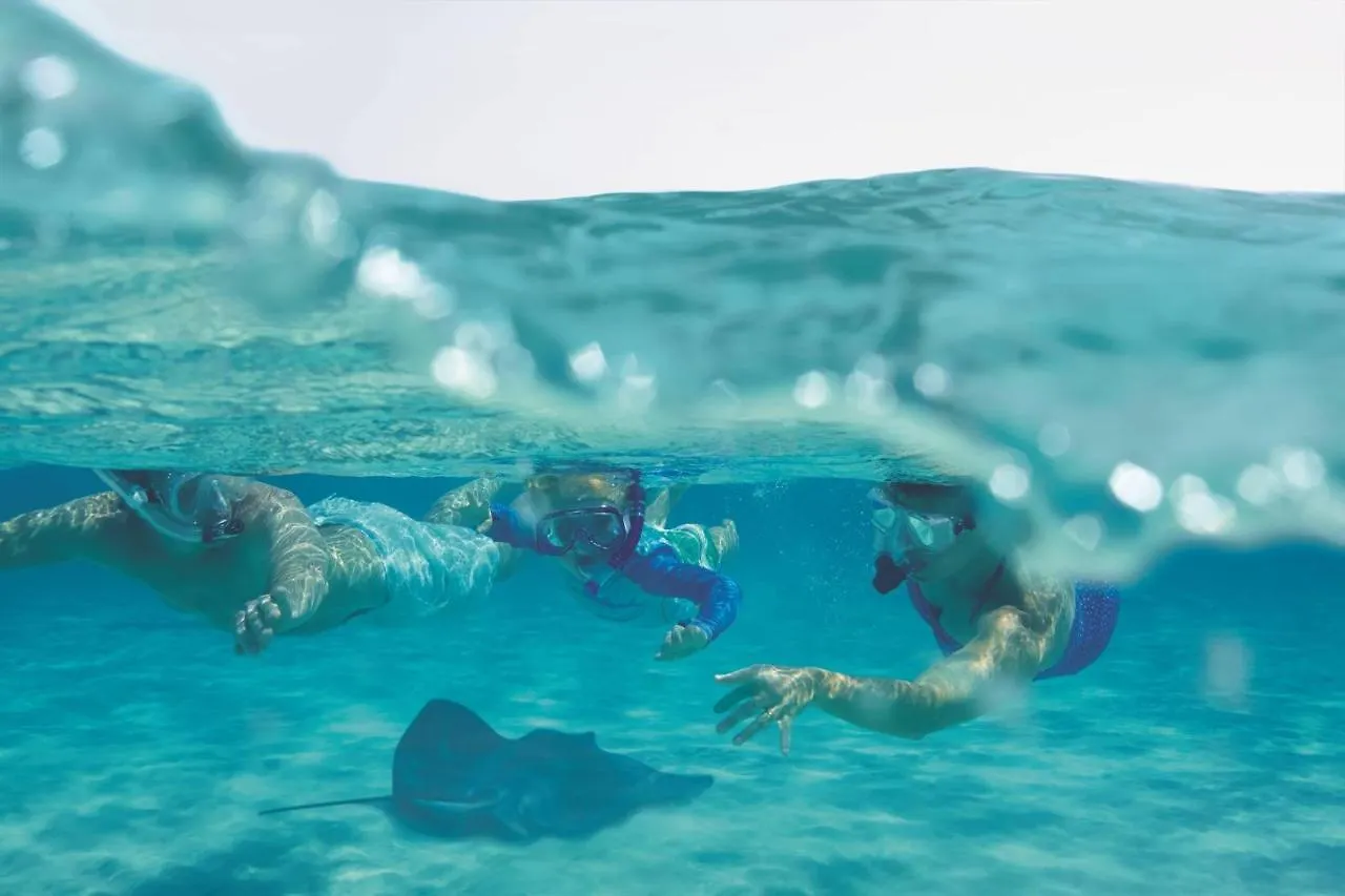 Hotel The Ritz-Carlton, Grand Cayman Dog City Resort