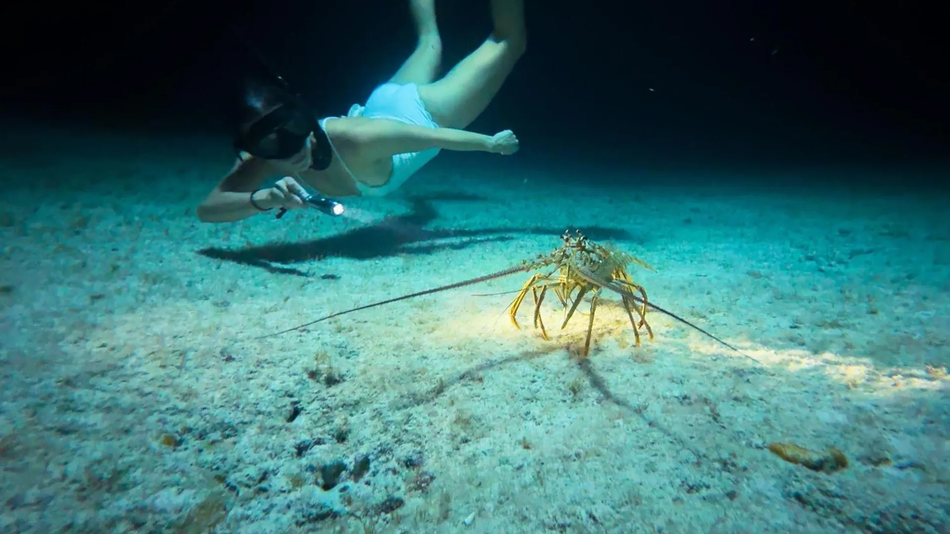 The Ritz-Carlton, Grand Cayman Hotel Seven Mile Beach Cayman Islands